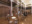 IP0032 20250829