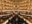 IP0081 20250829